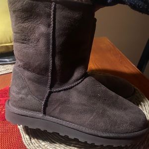 Chocolate brown ugg’s